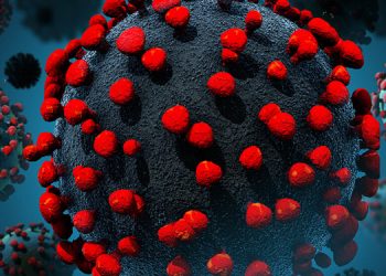 സംസ്ഥാനത്ത് ഇന്ന് 3377 പേര്‍ക്ക് കോവിഡ് സ്ഥിരീകരിച്ചു