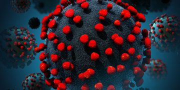 സംസ്ഥാനത്ത് ഇന്ന് 3377 പേര്‍ക്ക് കോവിഡ് സ്ഥിരീകരിച്ചു