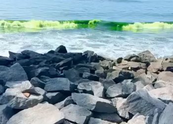 കൊയിലാണ്ടി – പയ്യോളി ഭാഗങ്ങളില് കടലിന് പച്ച നിറം ; മാറ്റം ഇന്ന് രാവിലെ മുതല്