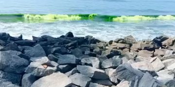 കൊയിലാണ്ടി – പയ്യോളി ഭാഗങ്ങളില്‍ കടലിന് പച്ച നിറം ;   മാറ്റം ഇന്ന് രാവിലെ മുതല്‍