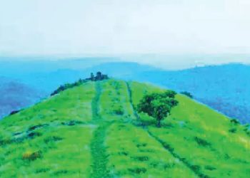 സഞ്ചാരികളെ കാത്ത് പൂക്കുന്നുമല