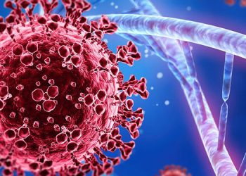 യുഎഇയില്‍ 148 പേര്‍ക്ക് കൂടി കൊവിഡ് സ്ഥിരീകരിച്ചു