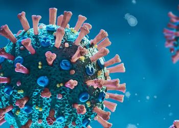 സംസ്ഥാനത്ത് ഇന്ന് 4006 പേര്‍ക്ക് കോവിഡ് സ്ഥിരീകരിച്ചു