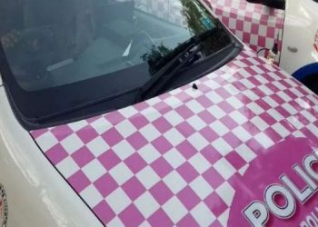 പിങ്ക് പോലീസ് കേസ്  :   പെൺകുട്ടിക്ക് നഷ്ടപരിഹാരം നൽകണം