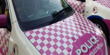 പിങ്ക് പോലീസ് കേസ്  :   പെൺകുട്ടിക്ക് നഷ്ടപരിഹാരം നൽകണം