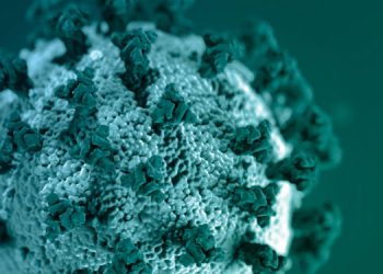 സംസ്ഥാനത്ത് ഇന്ന് 3404 പേര്ക്ക് കോവിഡ് സ്ഥിരീകരിച്ചു