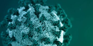 സംസ്ഥാനത്ത്  ഇന്ന് 3404 പേര്‍ക്ക് കോവിഡ് സ്ഥിരീകരിച്ചു