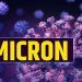 തമിഴ്‌നാട്ടിൽ ആദ്യ ഒമിക്രോൺ സ്ഥിരീകരിച്ചു ; സമ്പർക്ക പട്ടികയിൽ ഏഴുപേർ