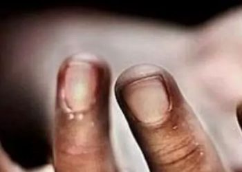 മണ്ണിടിഞ്ഞ് വീണ് തൊഴിലാളി മരിച്ചു ; ഒരാൾക്ക് ഗുരുതര പരിക്ക്