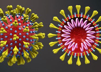 സംസ്ഥാനത്ത് ഇന്ന് 2748 പേര്‍ക്ക് കോവിഡ് സ്ഥിരീകരിച്ചു