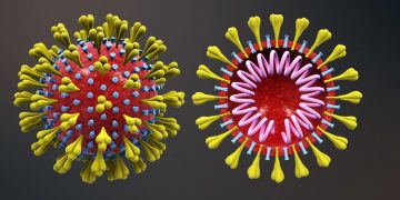 സംസ്ഥാനത്ത് ഇന്ന് 2748 പേര്‍ക്ക് കോവിഡ് സ്ഥിരീകരിച്ചു