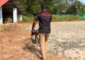 ആലപ്പുഴ ഇരട്ടക്കൊലപാതകം ;  ഉന്നത ഗൂഢാലോചനയെന്ന് സ്ഥിരീകരണം