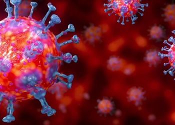 സംസ്ഥാനത്ത്  ഇന്ന് 2407 പേര്‍ക്ക് കോവിഡ് സ്ഥിരീകരിച്ചു