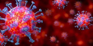 സംസ്ഥാനത്ത്  ഇന്ന് 2407 പേര്‍ക്ക് കോവിഡ് സ്ഥിരീകരിച്ചു