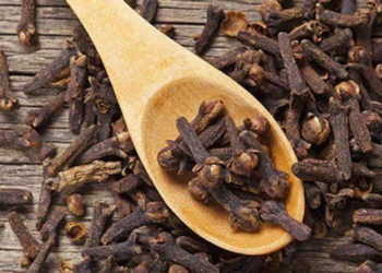 ഗ്രാമ്പു നിസാരക്കാരനല്ല ; ആരോഗ്യഗുണങ്ങളെ കുറിച്ചറിയാം