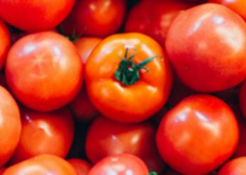 ആന്ധ്രയിൽ നിന്ന് തക്കാളി എത്തി ;  വിലക്കയറ്റം നിയന്ത്രിക്കാൻ ഹോർട്ടികോർപ്