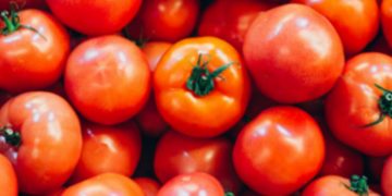 ആന്ധ്രയിൽ നിന്ന് തക്കാളി എത്തി ;  വിലക്കയറ്റം നിയന്ത്രിക്കാൻ ഹോർട്ടികോർപ്