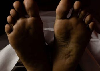 വയനാട്ടിൽ വയോധികനെ കൊന്ന് ചാക്കിൽകെട്ടി ഉപേക്ഷിച്ചു  ;   രണ്ട് പെൺകുട്ടികൾ കീഴടങ്ങി