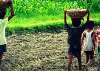 ബാലവേലയെക്കുറിച്ച് വിവരം നൽകുന്നവർക്ക് 2,500 രൂപ പാരിതോഷികം നൽകും