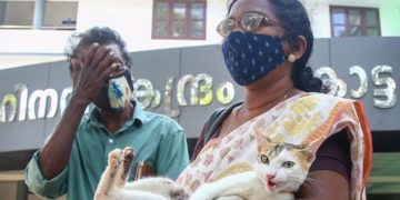 പൂച്ചയെ എയര്‍ഗണ്‍ ഉപയോഗിച്ച് വെടിവച്ചു വീഴ്ത്തി അയല്‍വാസിയുടെ ക്രൂരത