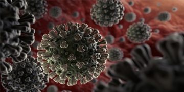 കൊറോണ വൈറസ് തലച്ചോറിനെയും ഹൃദയത്തെയും ബാധിക്കുമെന്ന് പഠനം