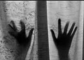 ഒൻപതാം ക്ലാസ് വിദ്യാർഥിനിയെ പീഡിപ്പിച്ചു ; അമ്പത്തിയാറുകാരനായ പ്രതിക്ക് 10 വർഷം കഠിനതടവ്