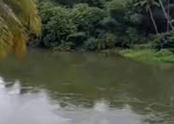 മണിപ്പുഴയിൽ കൈത്തോട്ടിൽ യുവാവിനെ മരിച്ചനിലയിൽ കണ്ടെത്തി