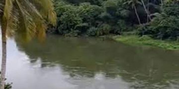 മണിപ്പുഴയിൽ കൈത്തോട്ടിൽ യുവാവിനെ മരിച്ചനിലയിൽ കണ്ടെത്തി
