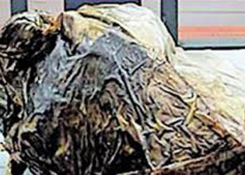 ടൂറിസ്റ്റ് ബസിൽ 2 കിലോഗ്രാം ഹഷീഷ് ഓയിൽ ;  നിയമ വിദ്യാർഥി ഉൾപ്പെടെ 2 പേരെ അറസ്റ്റ് ചെയ്തു