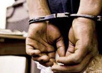 രൺജീത്ത് വധക്കേസ് ; നാല് എസ്ഡിപിഐ പ്രവർത്തകർ കസ്റ്റഡിയിൽ