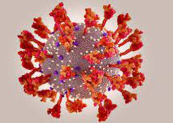 സമൂഹവുമായി ഇടപെട്ടാല്‍ ഒമിക്രോണ്‍ ഉറപ്പ് ; മുന്നറിയിപ്പുമായി ശാസ്ത്രജ്ഞര്‍