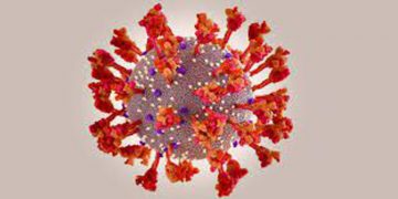 സമൂഹവുമായി ഇടപെട്ടാല്‍ ഒമിക്രോണ്‍ ഉറപ്പ് ; മുന്നറിയിപ്പുമായി ശാസ്ത്രജ്ഞര്‍