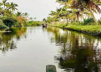 കായൽഗ്രാമ കാഴ്ചയൊരുക്കി ചേർത്തല താലൂക്കിലെ കുത്തിയതോട്