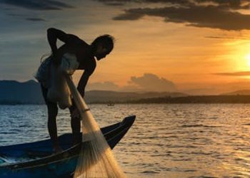 സെർവർ തകരാർ ; മീൻപിടിത്തക്കാർക്കുള്ള കേന്ദ്രസഹായം വൈകുന്നു