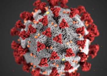 സംസ്ഥാനത്ത് ഇന്ന് 2995 പേര്ക്ക് കോവിഡ് സ്ഥിരീകരിച്ചു