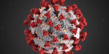 സംസ്ഥാനത്ത് ഇന്ന് 2995 പേര്‍ക്ക് കോവിഡ്  സ്ഥിരീകരിച്ചു