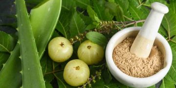 മുടി കൊഴിച്ചില്‍‌ പമ്പ കടക്കാൻ ആര്യവേപ്പ് !