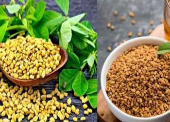 ഉലുവ ചായ കുടിച്ചാലുള്ള ആരോ​ഗ്യ ​ ​ഗുണങ്ങൾ അറിയാം