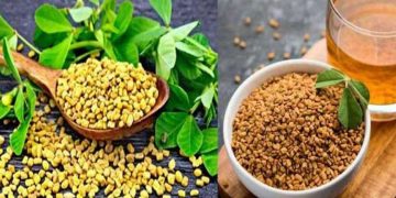 ഉലുവ ചായ കുടിച്ചാലുള്ള ആരോ​ഗ്യ ​ ​ഗുണങ്ങൾ അറിയാം