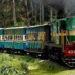 നീലഗിരി പൈതൃക ട്രെയിൻ സർവിസ് 14 വരെ റദ്ദാക്കി