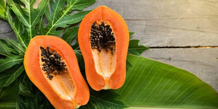പപ്പായ കഴിച്ചാലുള്ള ആരോഗ്യഗുണങ്ങൾ ഇതാണ്