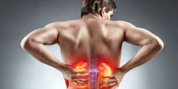 നേരത്തെ തിരിച്ചറിയാം വൃക്ക രോഗത്തിന്‍റെ ഈ അഞ്ച് ലക്ഷണങ്ങള്‍