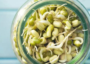 മുളപ്പിച്ച പയർവർഗങ്ങൾ കഴിക്കൂ ; ഗുണങ്ങൾ ചെറുതൊന്നുമല്ല