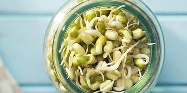 മുളപ്പിച്ച പയർവർഗങ്ങൾ കഴിക്കൂ ; ഗുണങ്ങൾ ചെറുതൊന്നുമല്ല