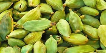 ഏലത്തിന് വന്‍ വിലത്തകര്‍ച്ച ; ഒരു വര്‍ഷത്തിനിടെ പകുതിയില്‍ താഴെ