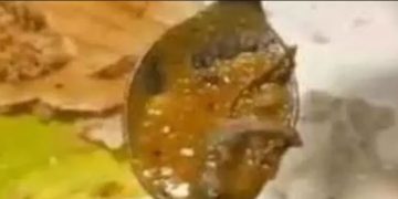 സാമ്പാറിൽ ചത്ത പല്ലി ;  70  വിദ്യാർഥികൾക്ക് ദേഹാസ്വാസ്ഥ്യം