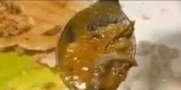 സാമ്പാറിൽ ചത്ത പല്ലി ; 70 വിദ്യാർഥികൾക്ക് ദേഹാസ്വാസ്ഥ്യം