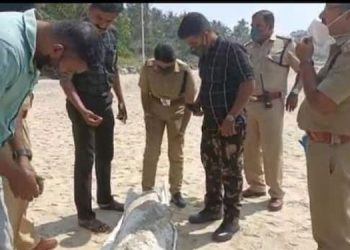 കോവളം തീരത്തെ ആംബർഗ്രീസ് ;  കൂടുതല്‍ പരിശോധന ആവശ്യമാണെന്ന് അധികൃതർ