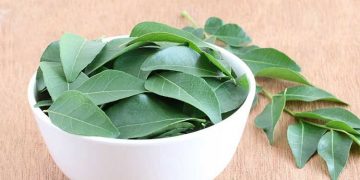 കറിവേപ്പില രാവിലെ വെറും വയറ്റിൽ കഴിക്കൂ  : ​ ഗുണങ്ങൾ പലത്