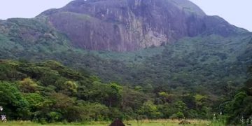 അഗസ്ത്യാർകൂടം ട്രെക്കിങ്  :  ഓൺലൈൻ ബുക്കിങ് ബുധനാഴ്ച തുടങ്ങും